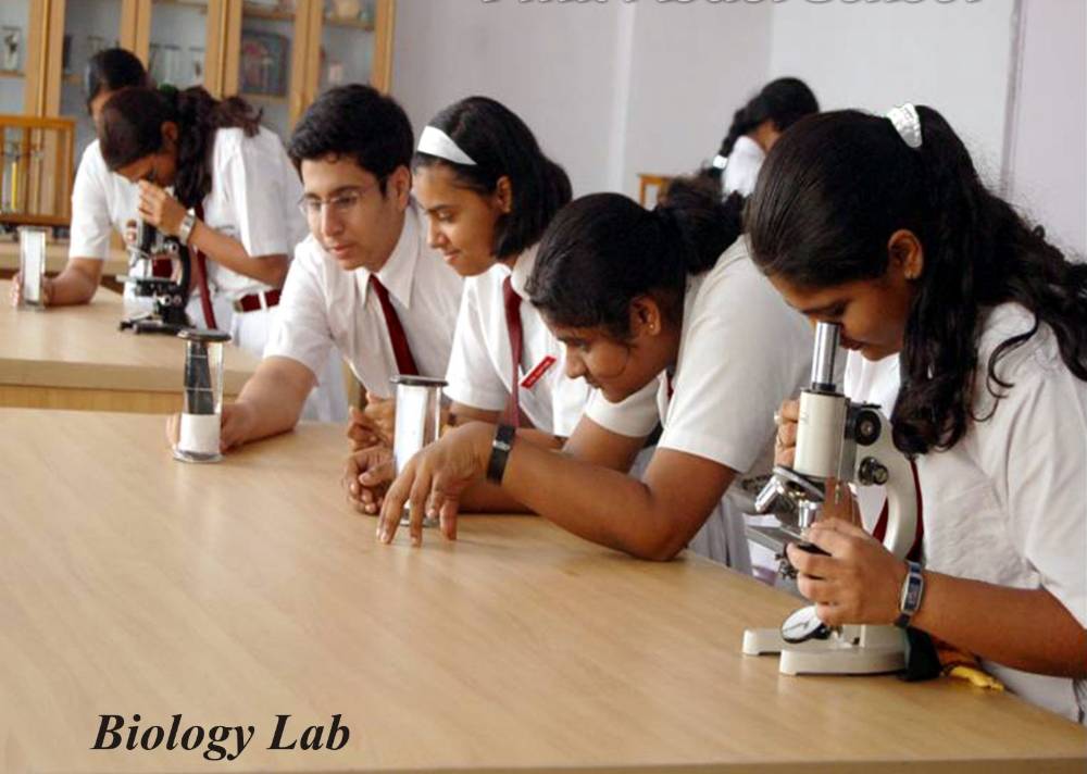 Practical lab work